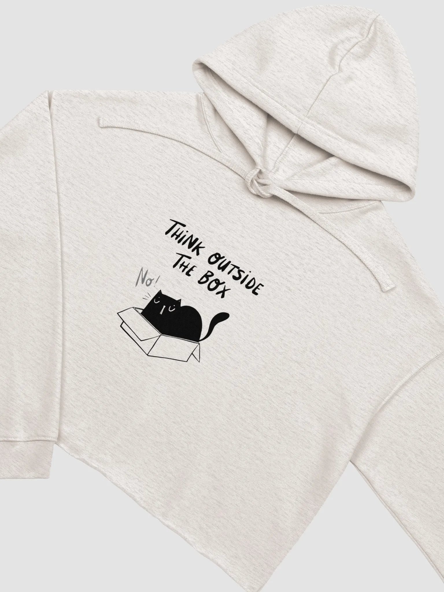 Think Outside The Box Crop Hoodie product image (11)
