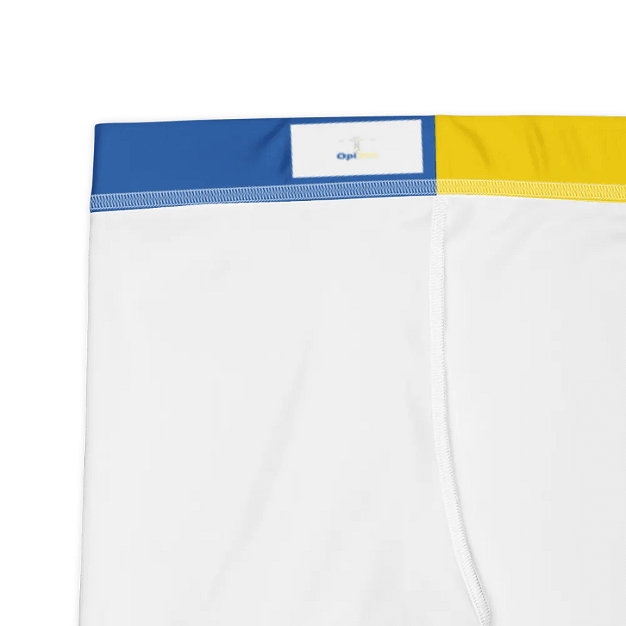 Ukraine - Tryzub - Leggings product image (9)