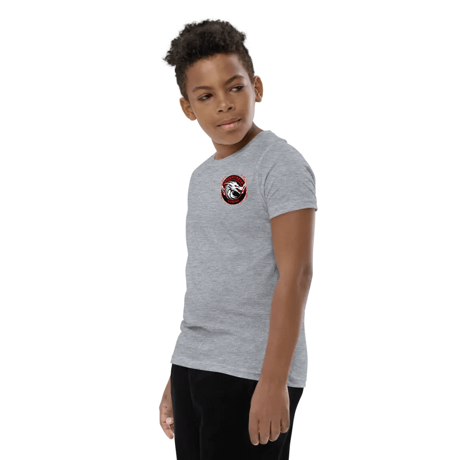 Dragonfire46 Gaming Official Youth Tee Merch product image (8)