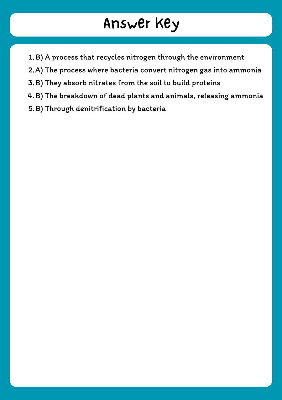 Nitrogen Cycle Reading Comprehension Passage & Questions product image (3)