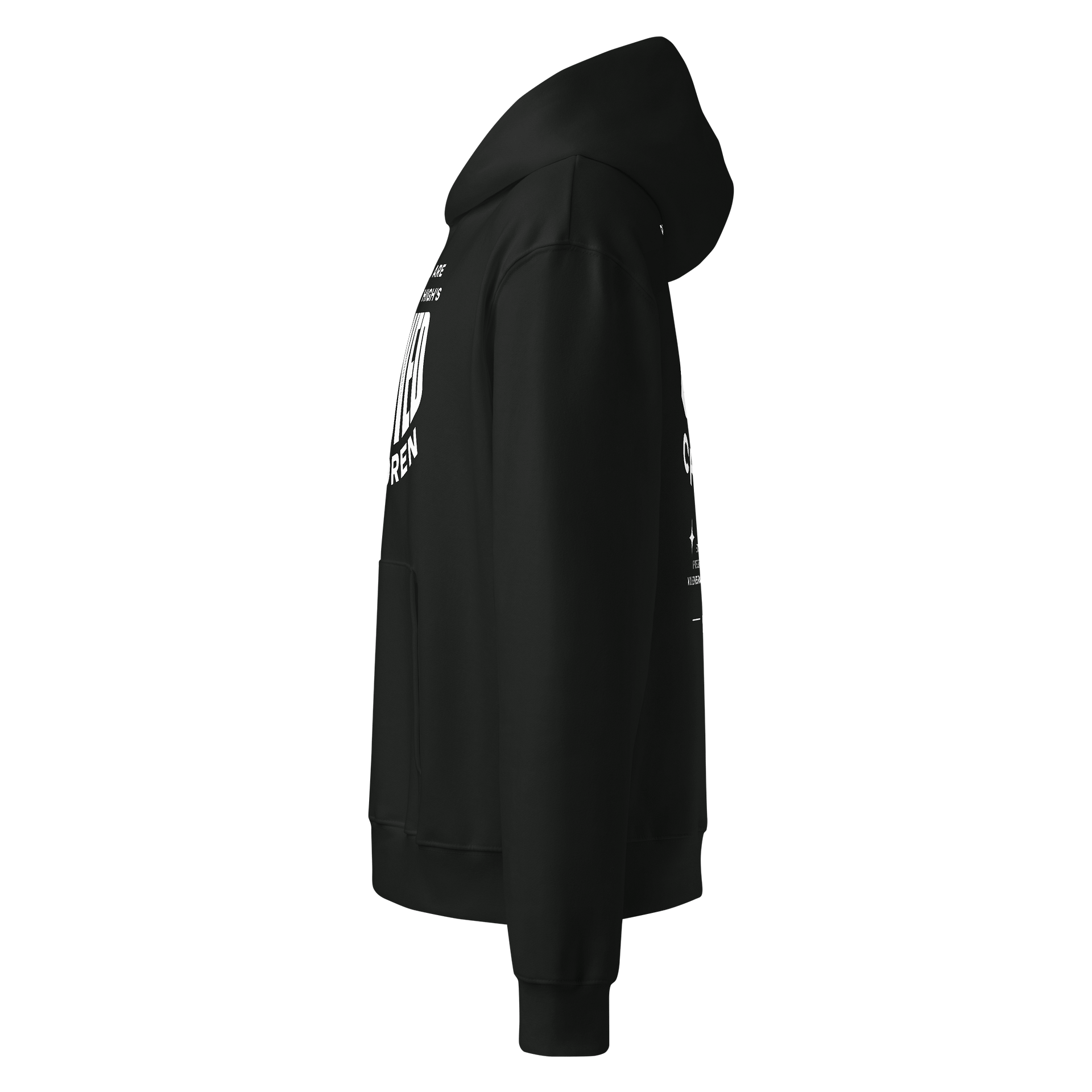 “BELOVED CHILDREN” OVERSIZED PREMIUM HEAVYWEIGHT HOODIE product image (3)