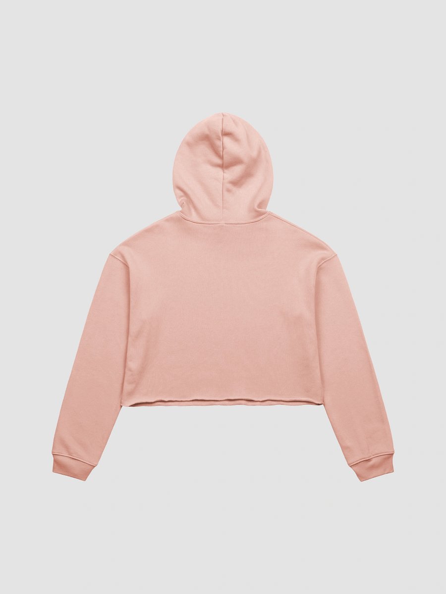 Lighting a F*G Crop Hoodie product image (6)