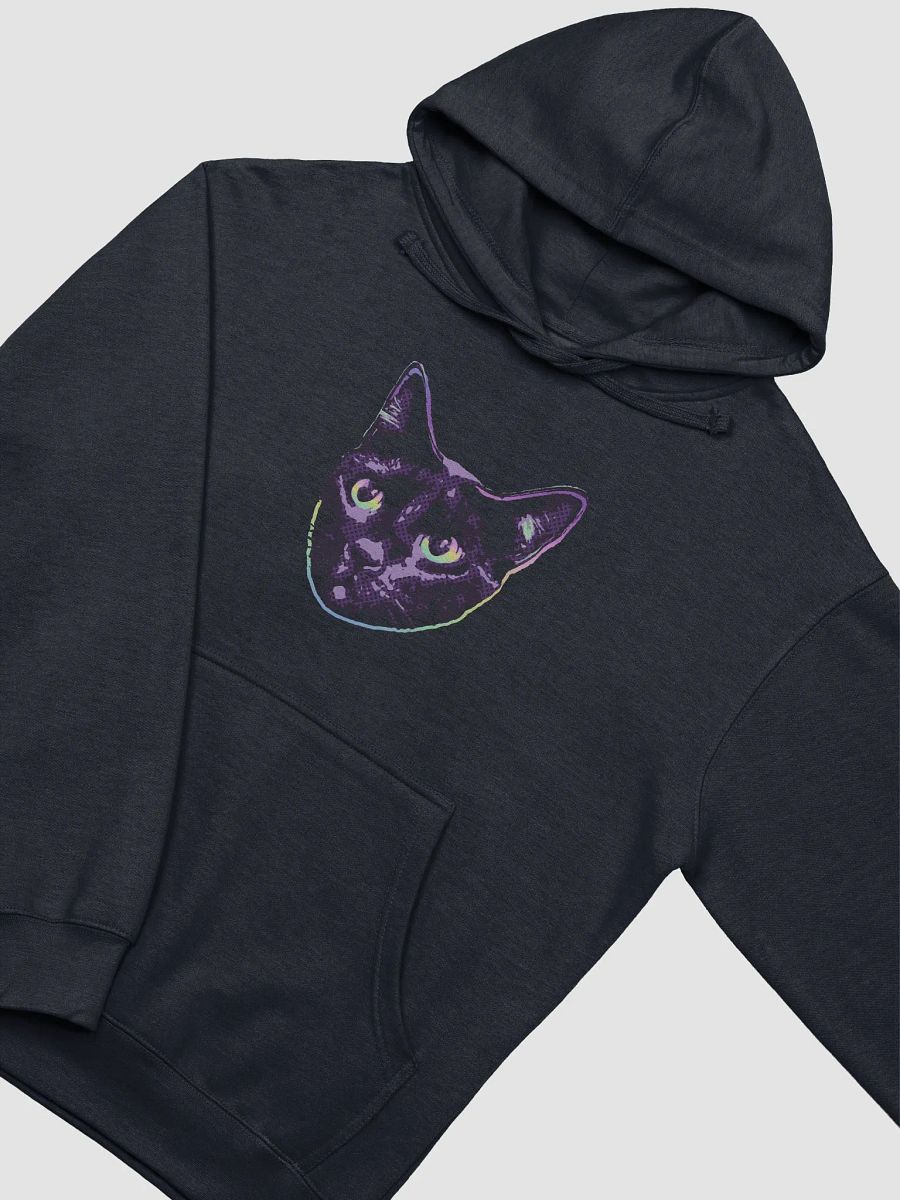 rainbow stinky on a hoodie product image (6)