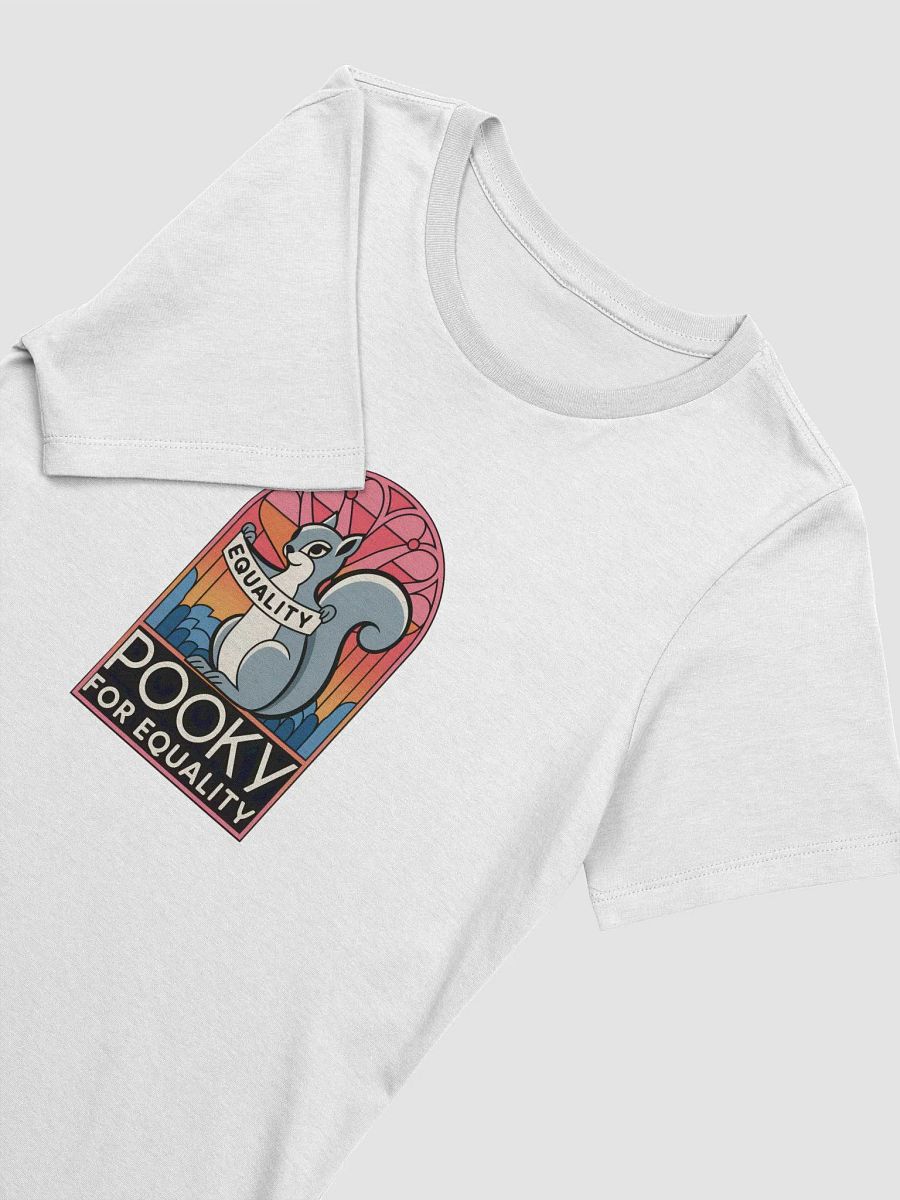 Super Comfy Relaxed Tee: Pooky For Equality1 product image (3)