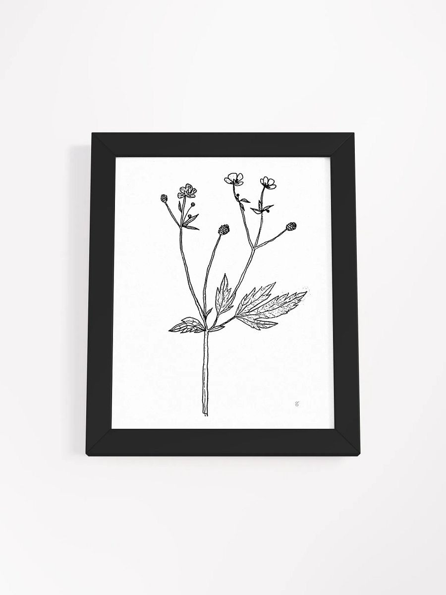 Botanical Bliss Framed Matte Poster - Wild Flowers product image (1)