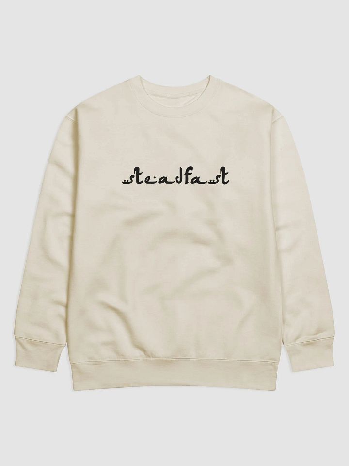 SteadFast in Faith product image (1)