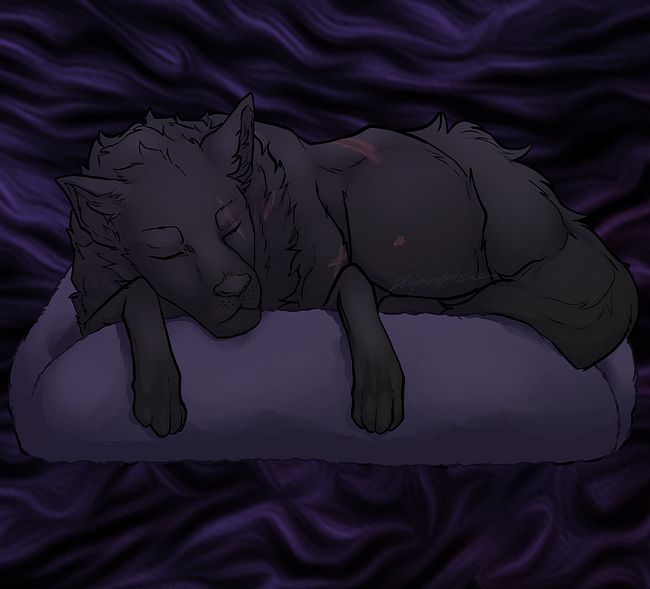 "The Slumbering Wolf" Collection