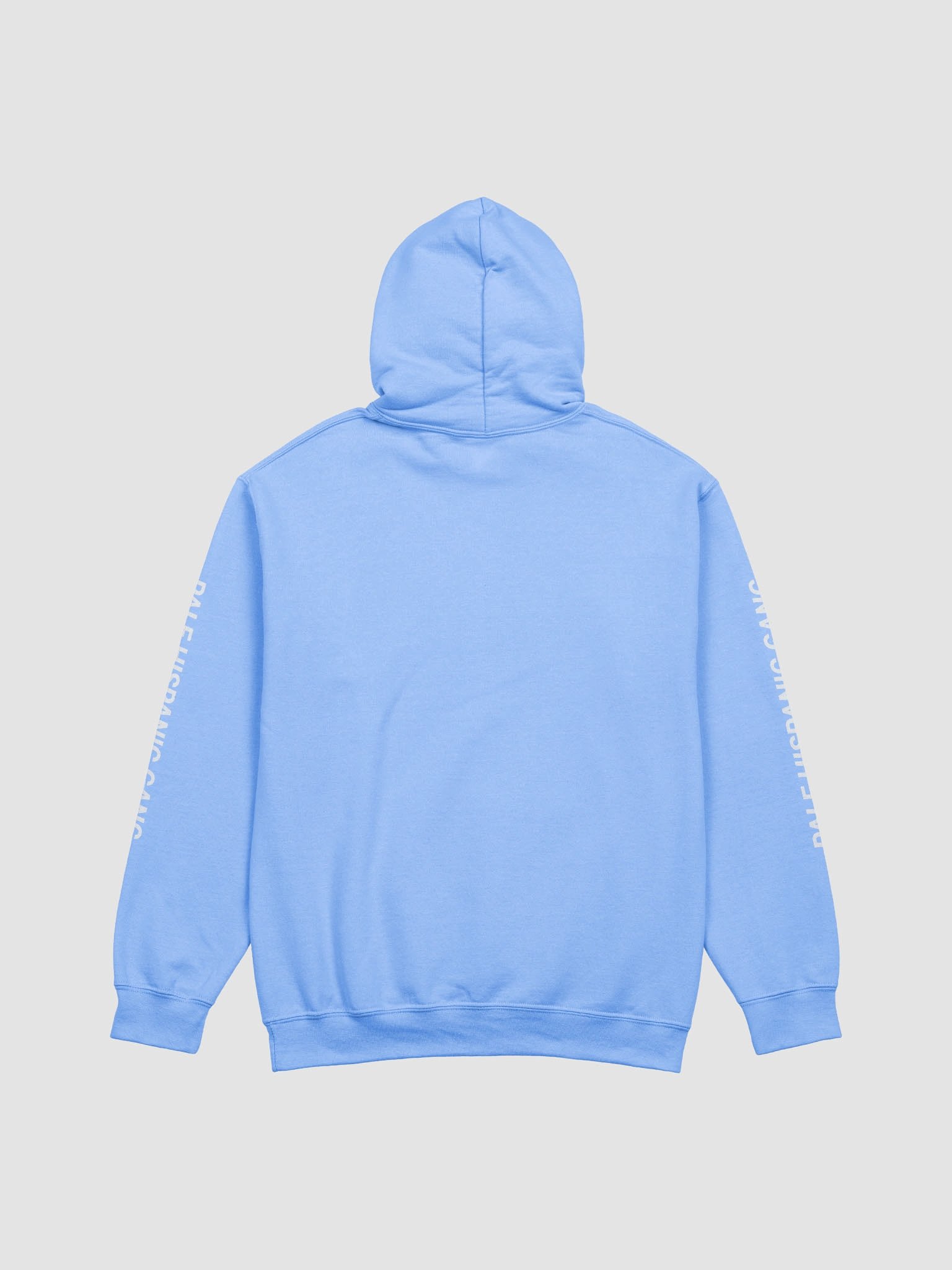 PHG Hoodie (Pastels) product image (8)