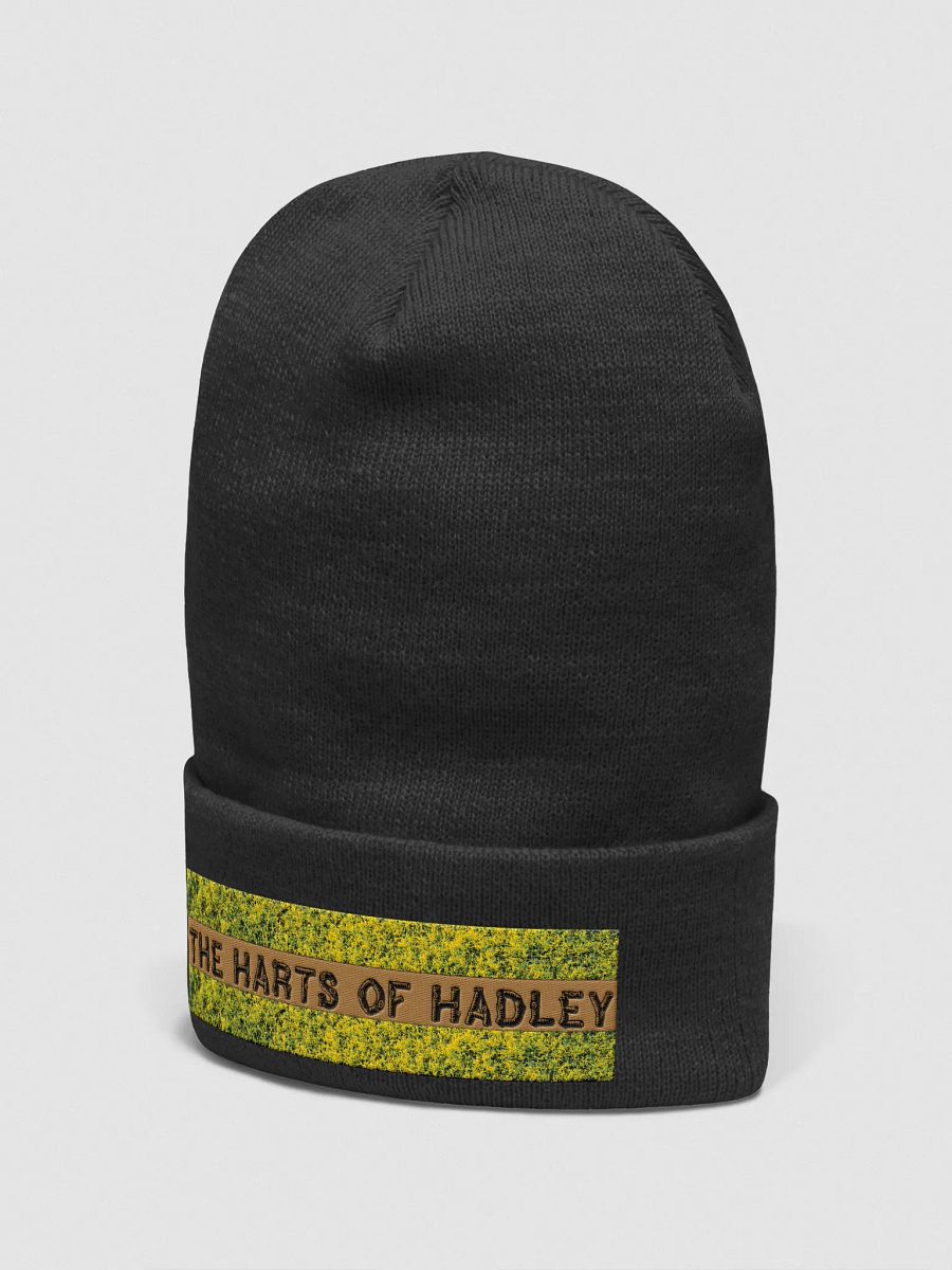 Harts Of Hadley Embroidered Cuffed Beanie product image (2)