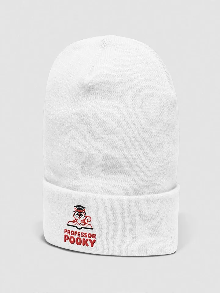 Professor Pooky Cuffed Beanie product image (2)