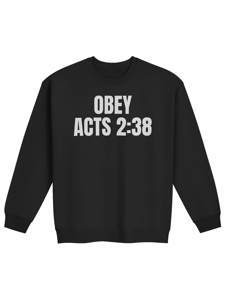 Obey Acts 2:38 Classic Crewneck Sweatshirt product image (3)
