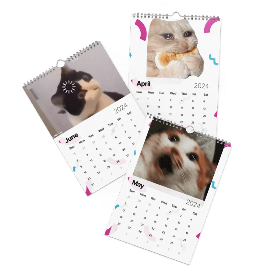 Wall Calendar (2024): Meme Cats product image (3)