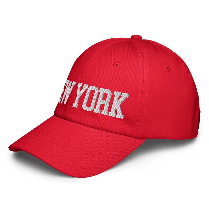 New York Embroidered Hat by Under Armour product image (14)