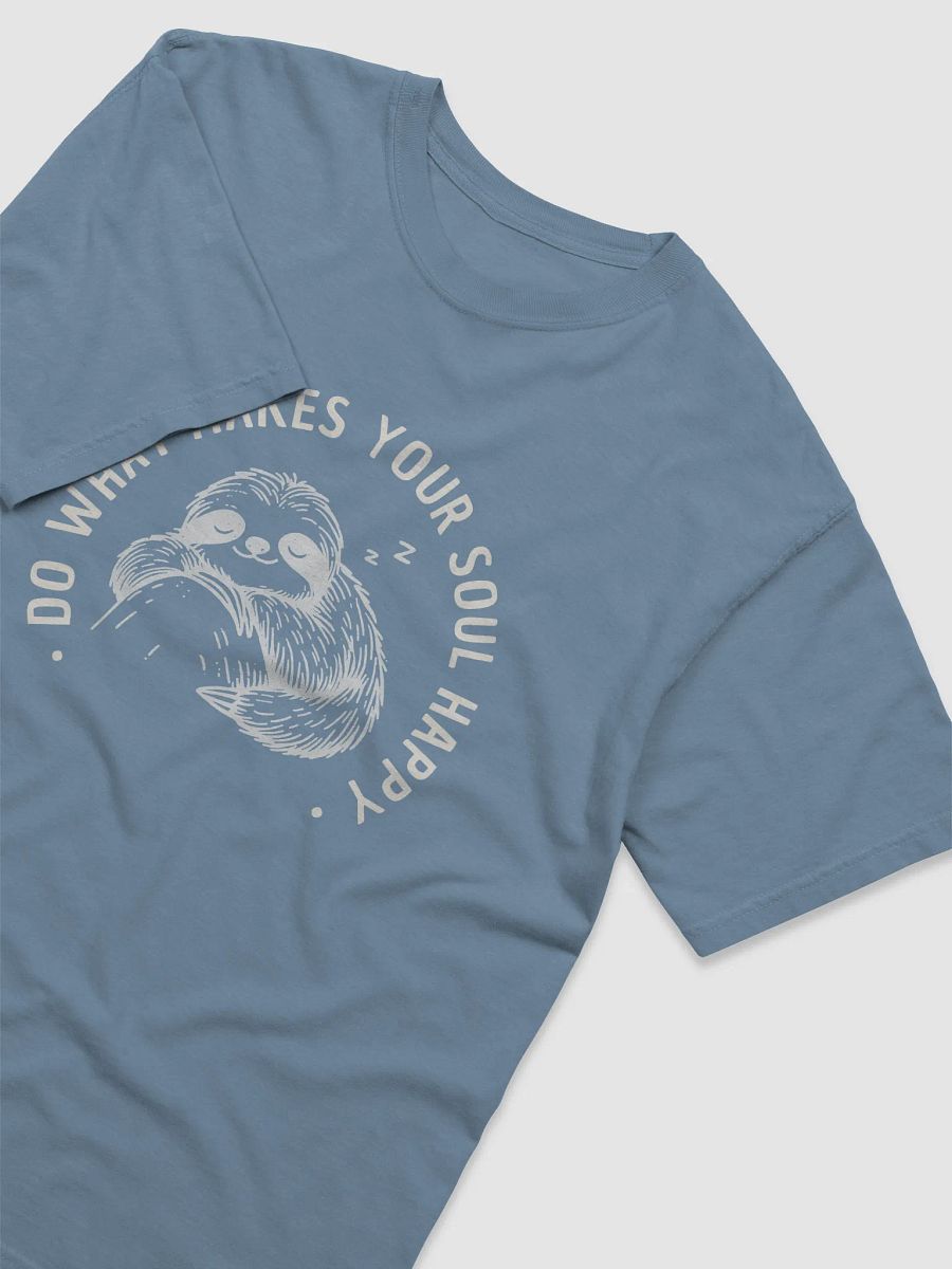 Do what makes your soul happy T-Shirt For 2025 Spring product image (37)