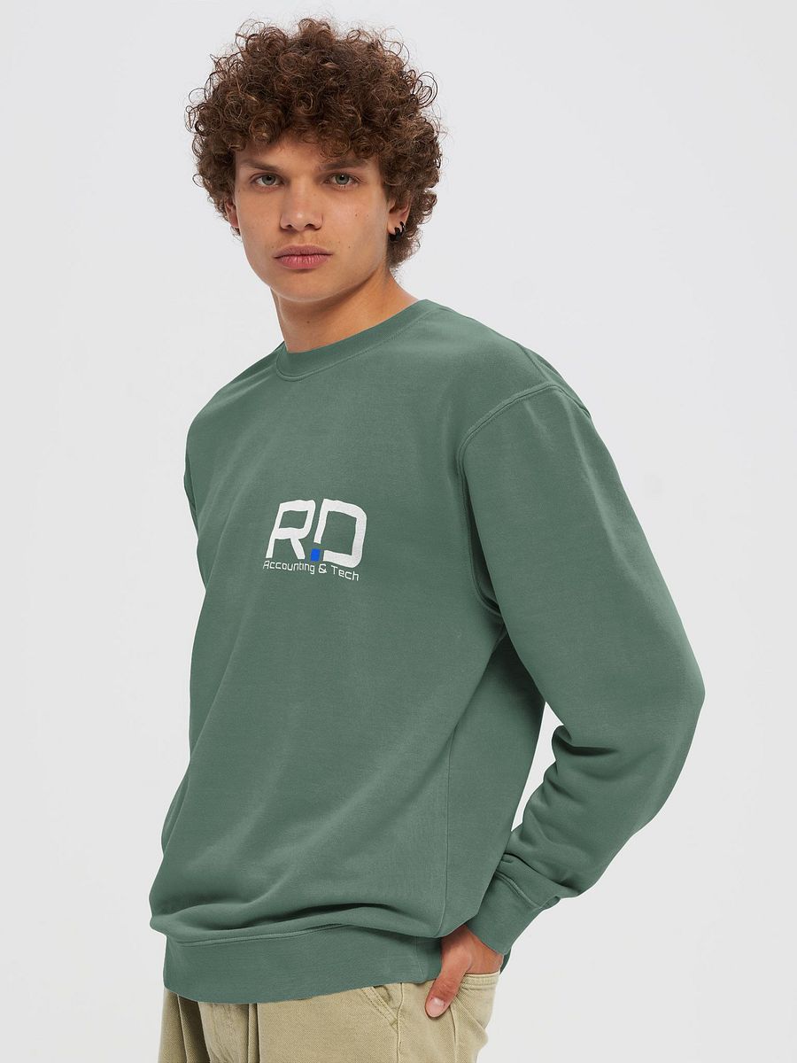 Rapp.Digital Pigment-Dyed Sweatshirt product image (45)