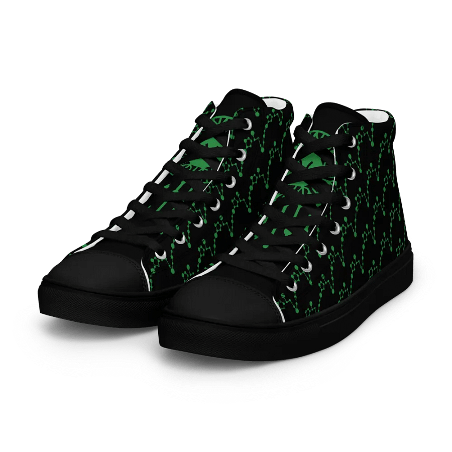 Pisces High Top Canvas Shoes product image (15)