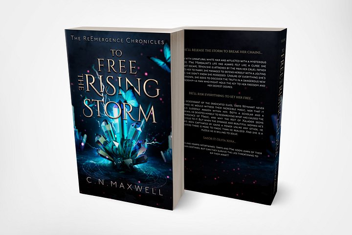 Signed Paperback To Free the Rising Storm product image (2)