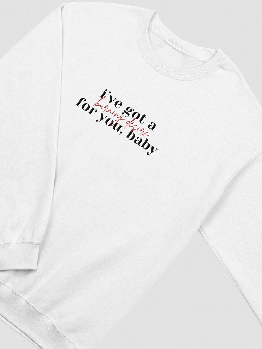 Burning Desire Embroidered Sweatshirt product image (21)