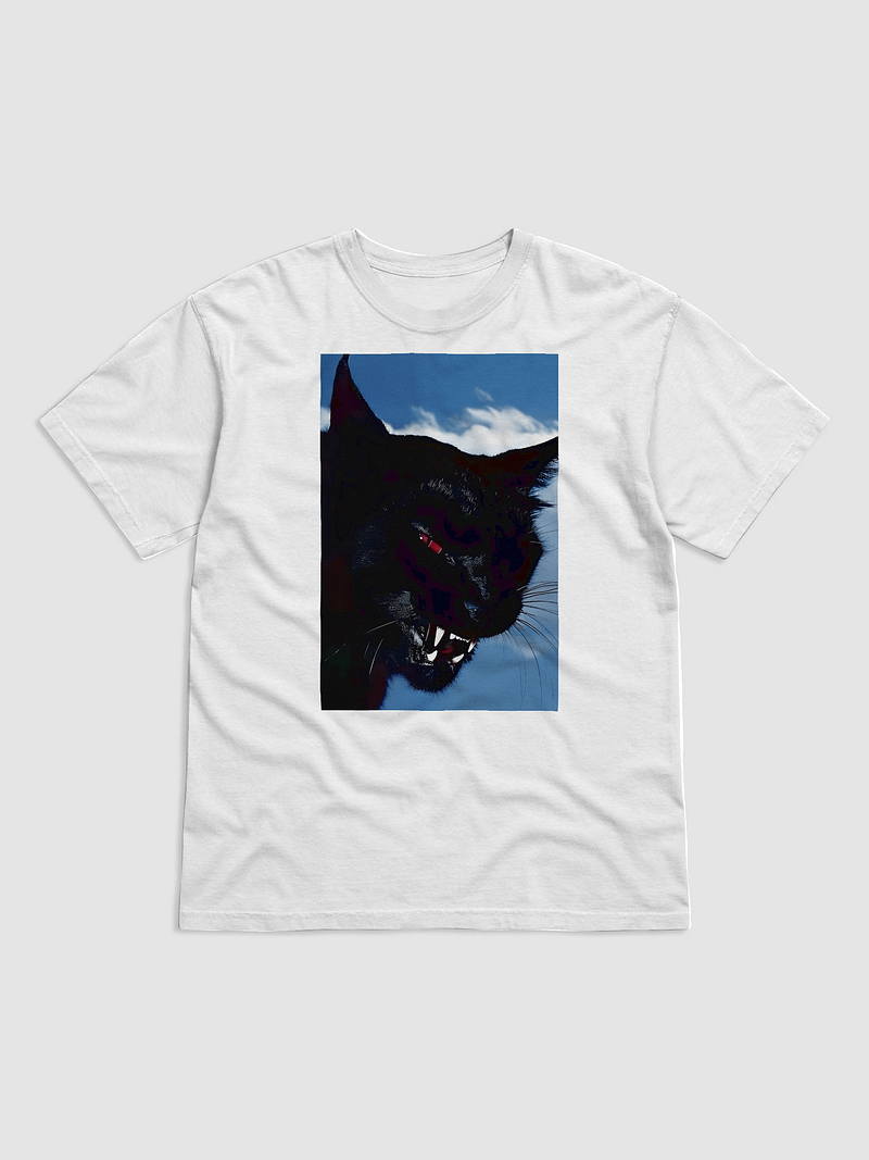 gnarly black cat tee