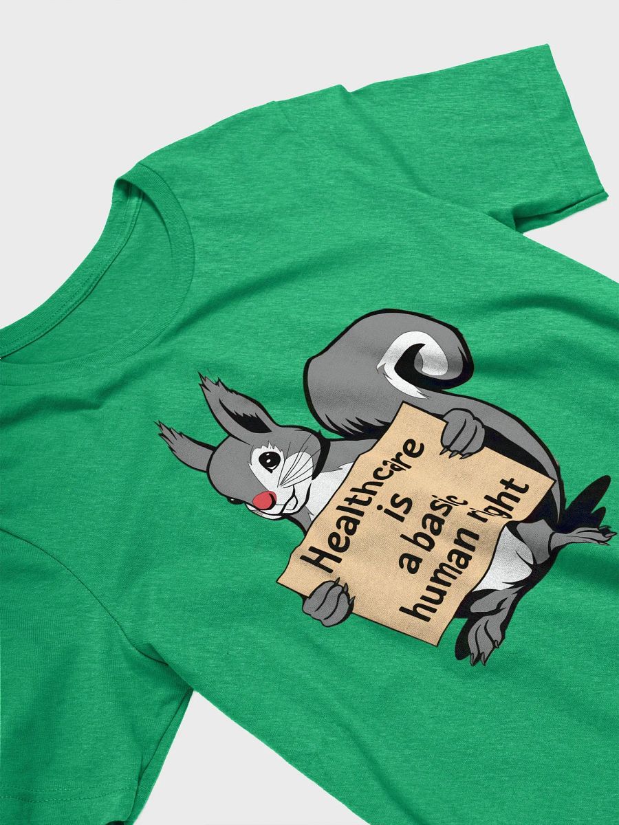 Super Soft and Flattering Tee: Pooky knows that Healthcare is a Human Right, let him tell the world for you product image (3)