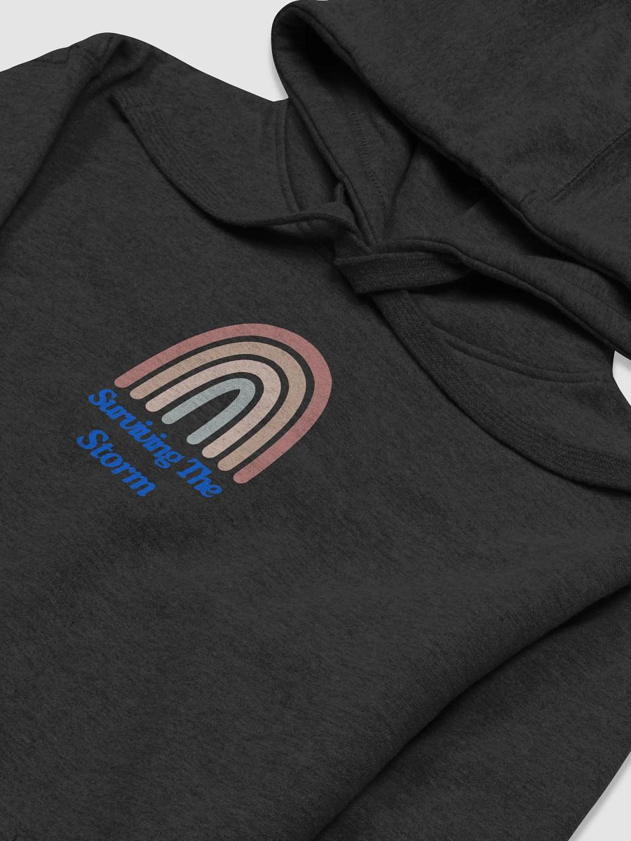 Rainbow Resilience Premium Hoodie product image (18)