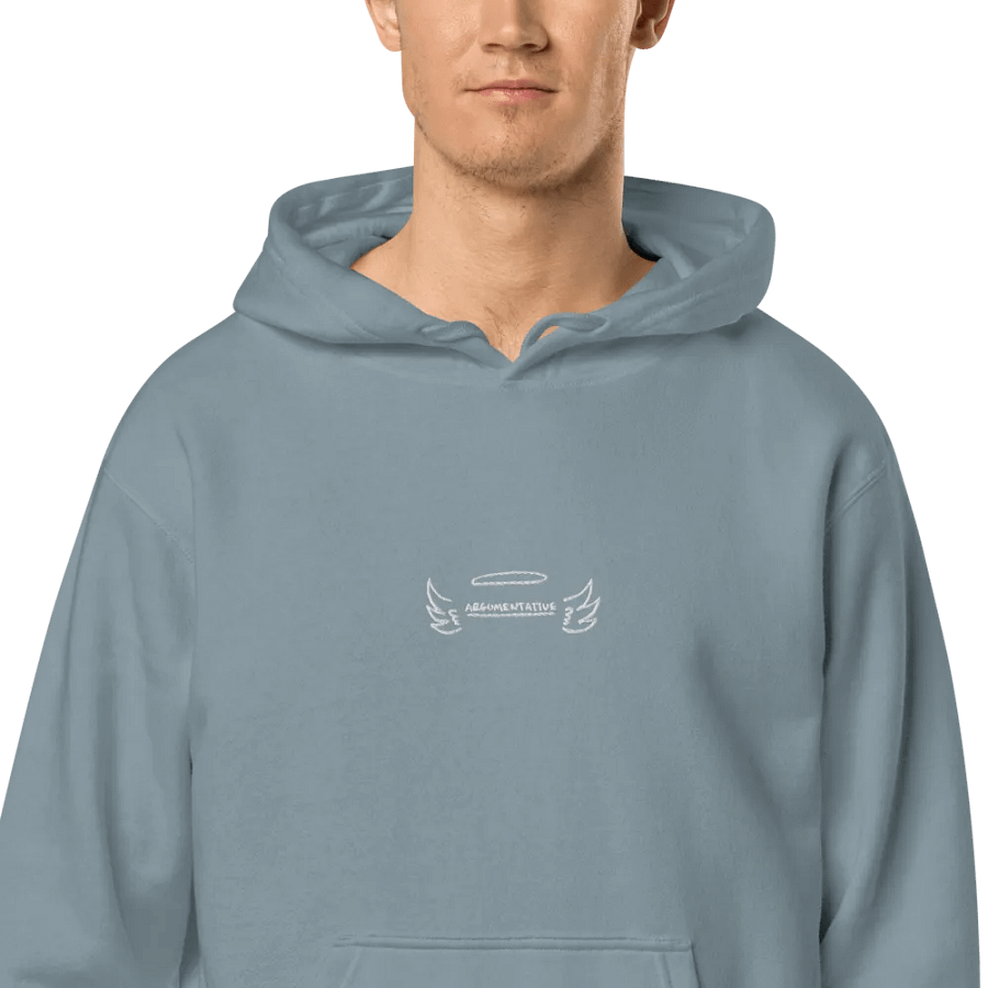 ANGELIC embroidered pigment hoodie product image (2)