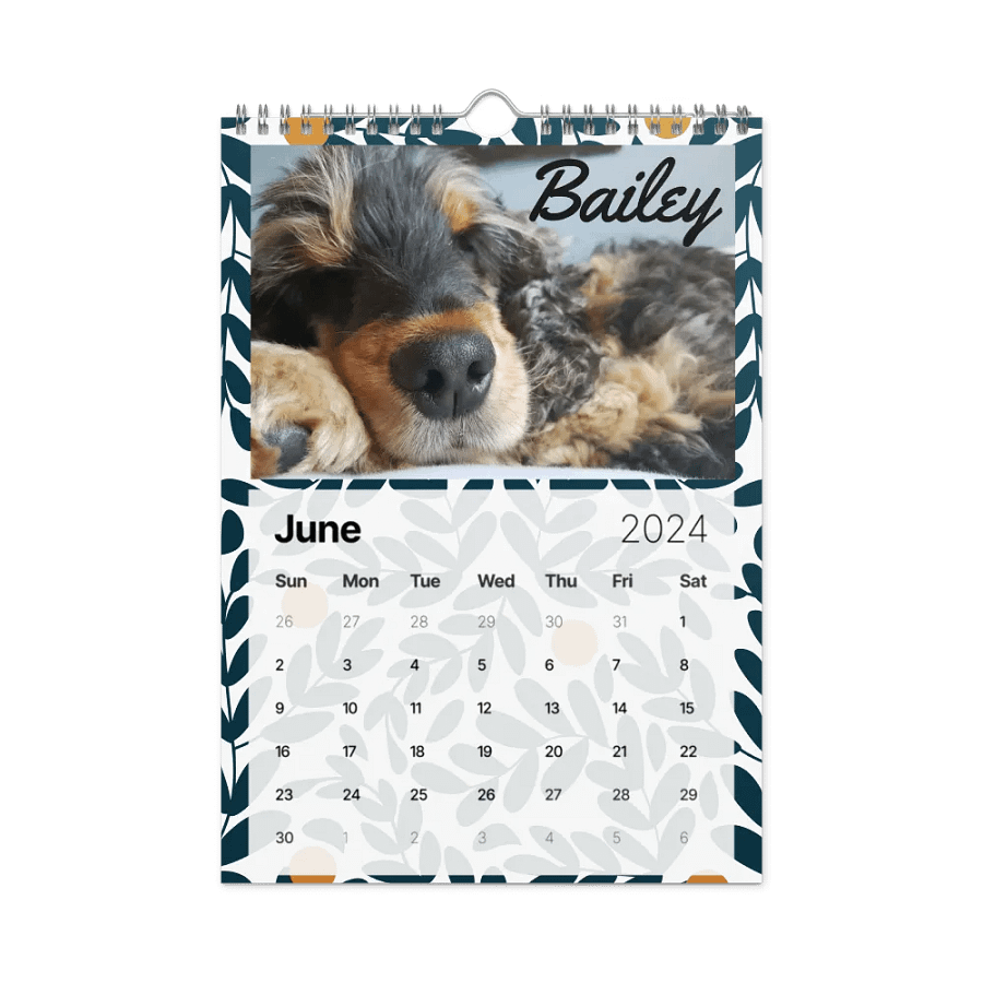 Oh, OK Community Pet Calendar product image (7)