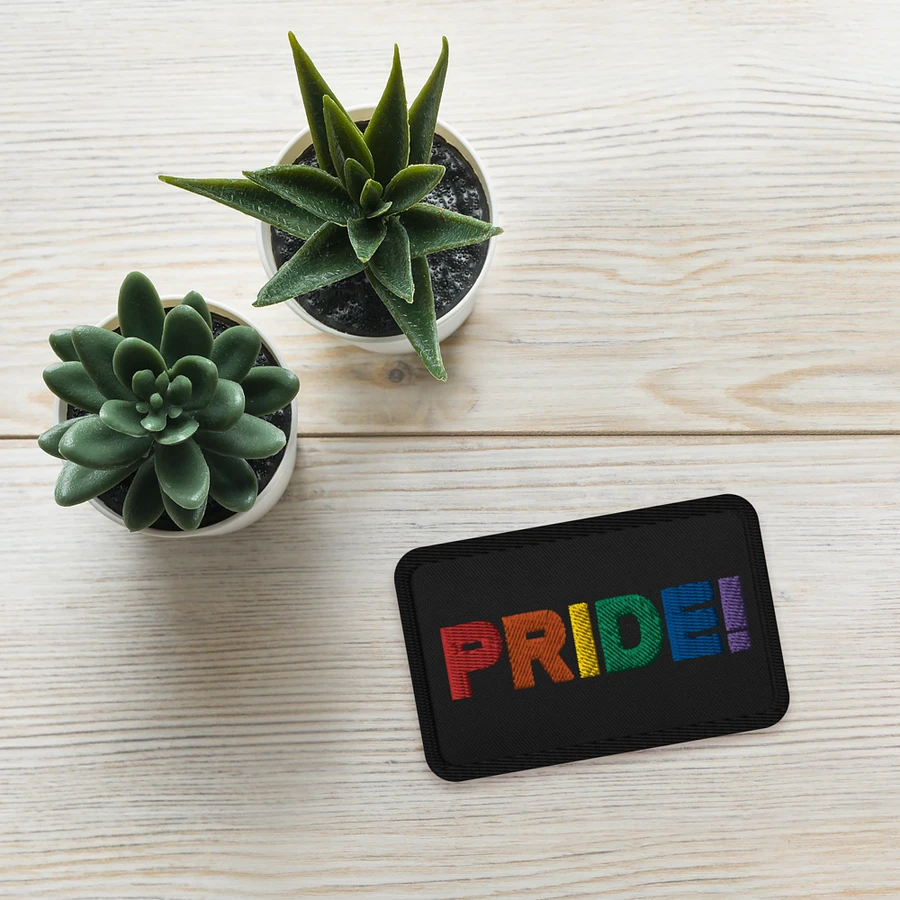 Rainbow Pride Embroidered Patch product image (4)