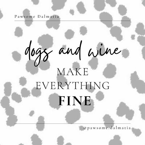 Did you know the Dalmatian region isn't just famous for its iconic spotted dogs? It's also home to exquisite Dalmatian wine! ...