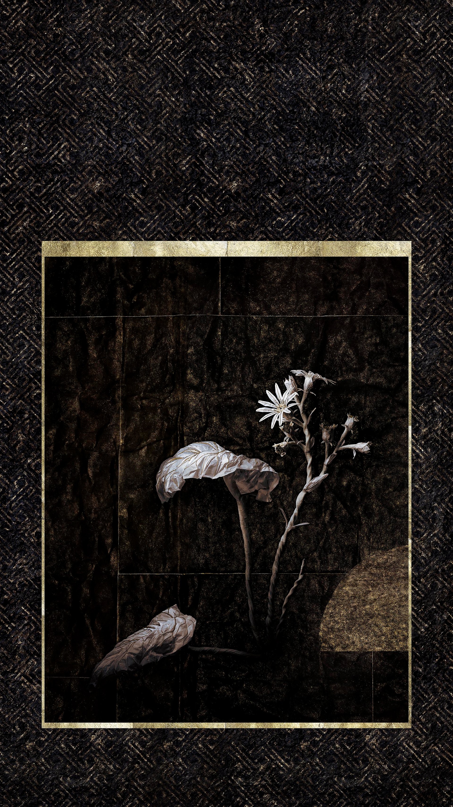 Koringami - Winter: Tsuwabuki product image (1)