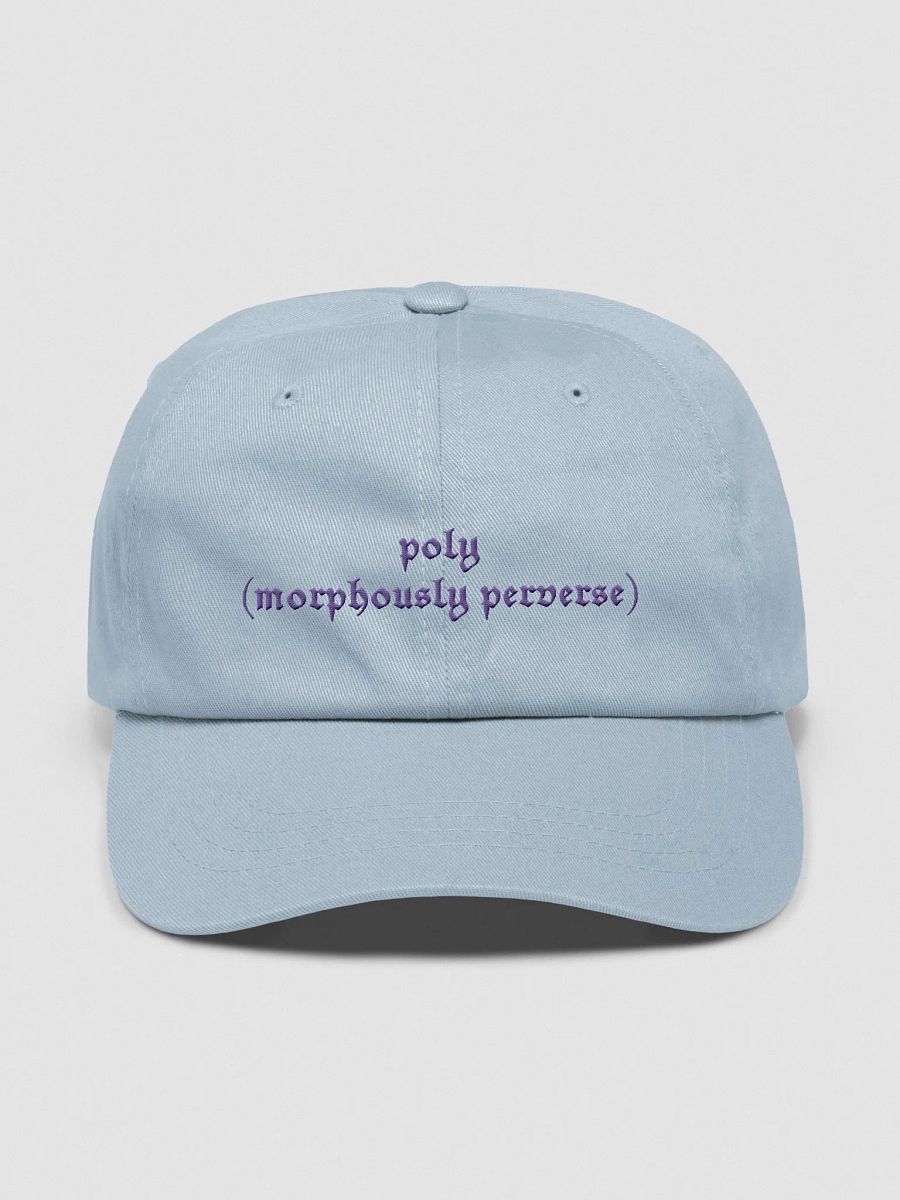 Poly(morphously Perverse) Hat product image (9)