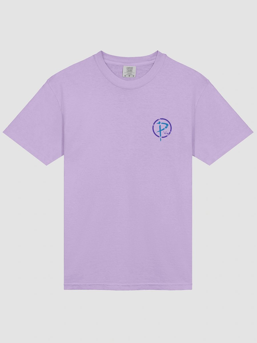 Peeve Orb Badge Heavyweight T-Shirt (Colorful) product image (63)