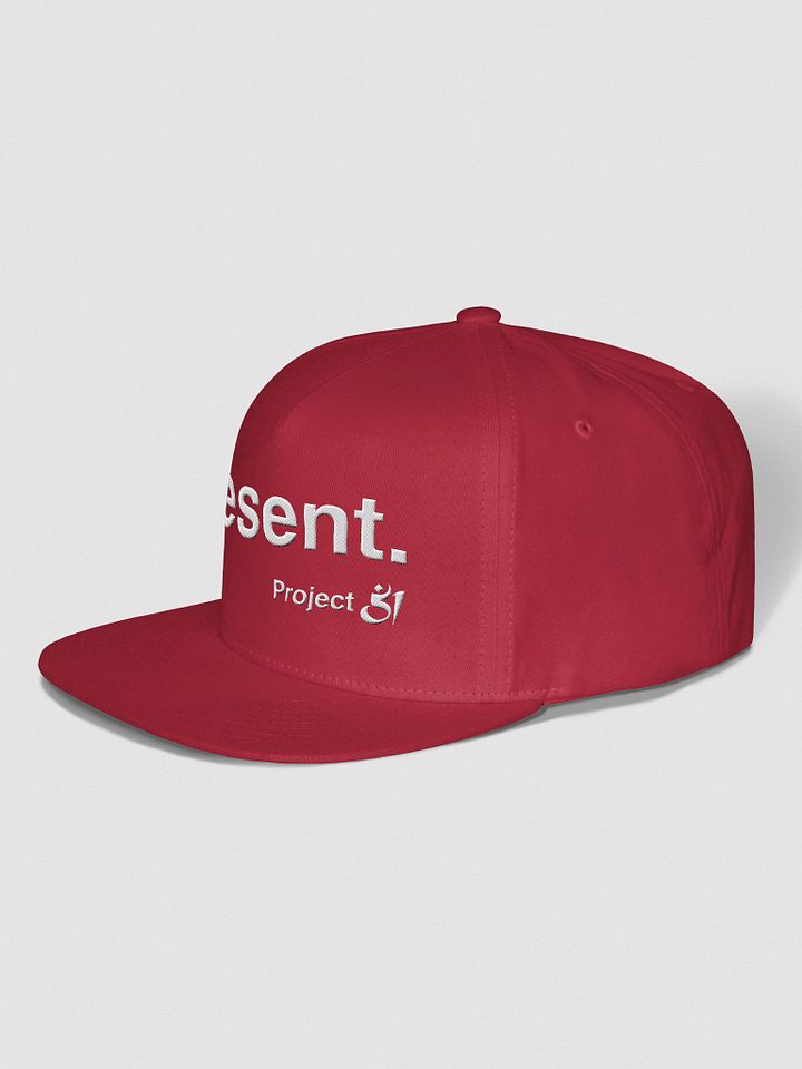 present. Snapback product image (2)