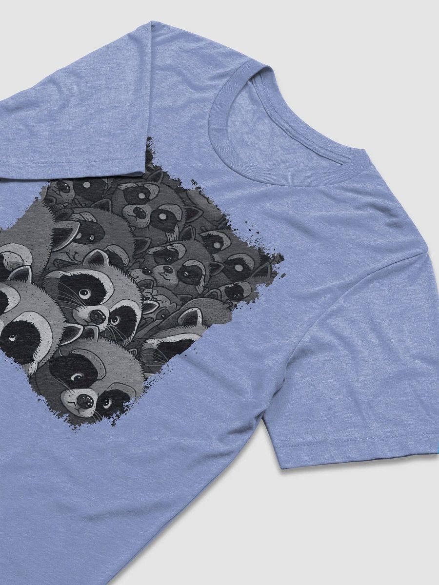 The Raccoons Inside product image (27)
