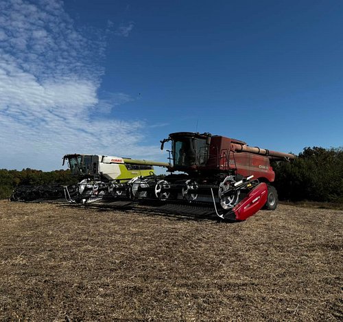 Very Smooth Harvest when the combines are holding each other accountable  #caseih #agriculture #claaslexion #claas #harvest #...