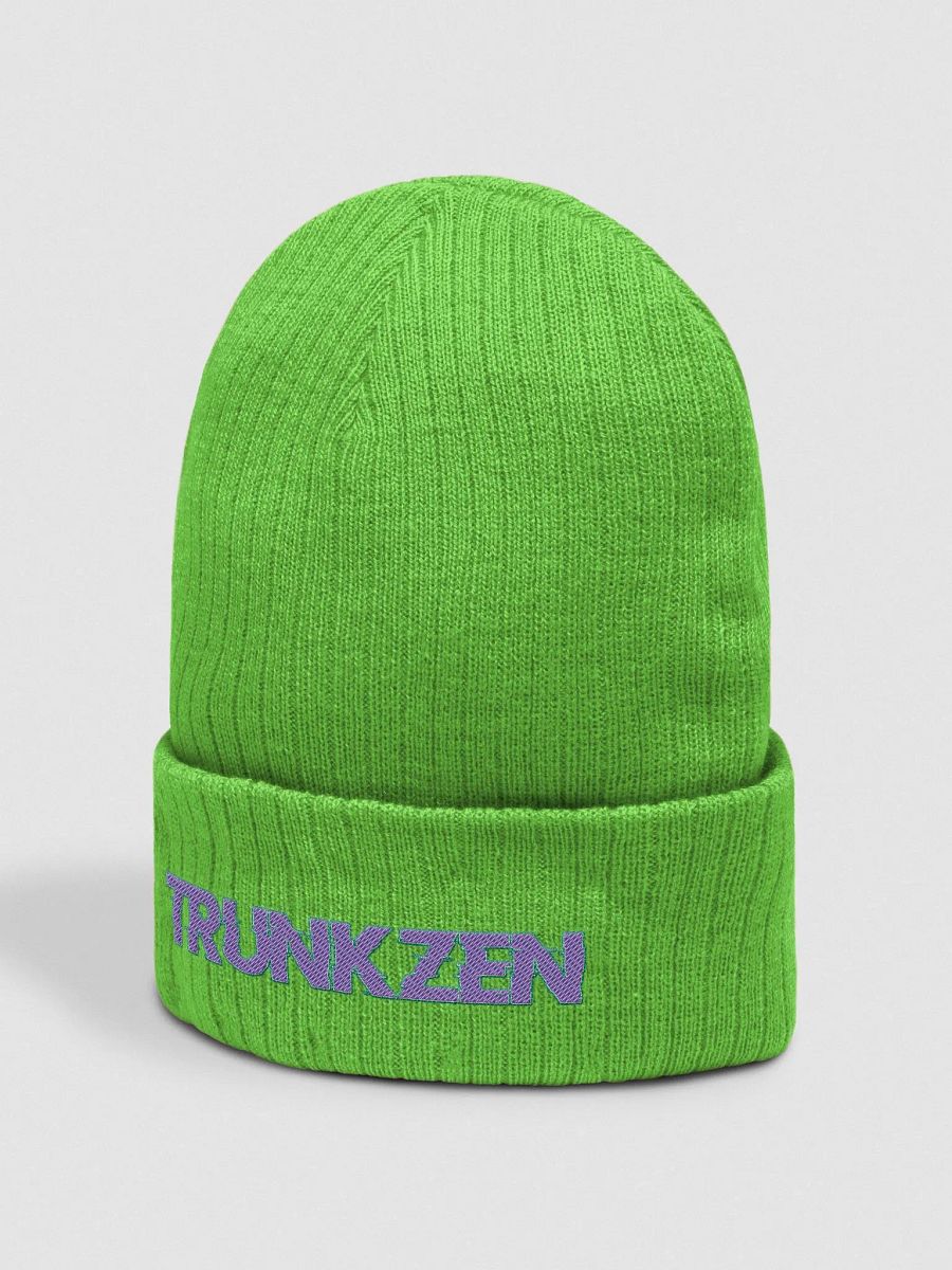 TrunkZen Beenie product image (14)