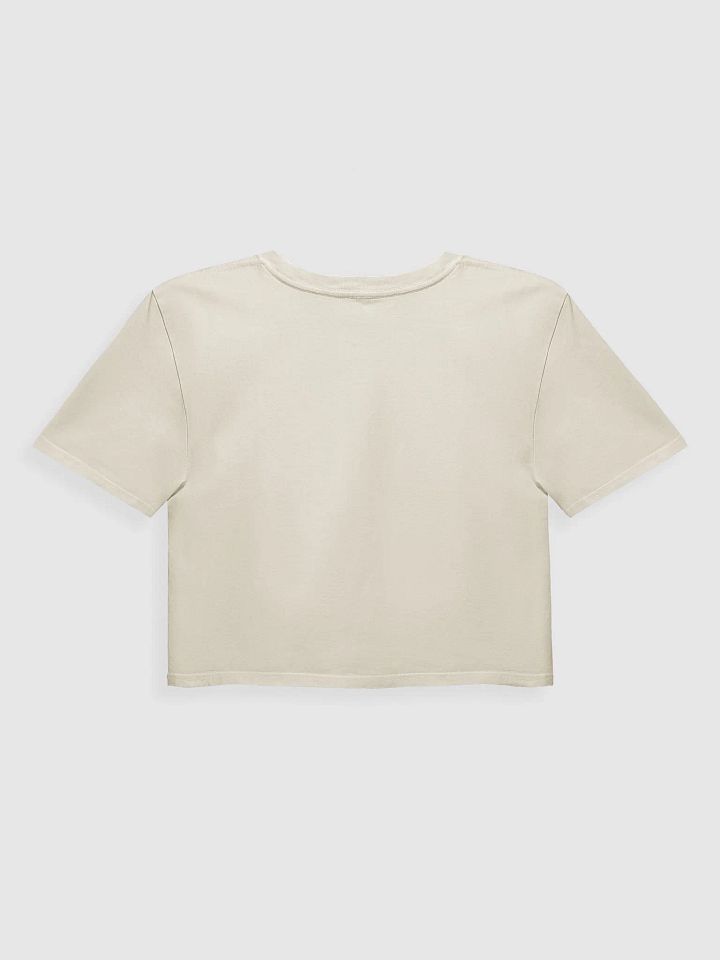 MidwestDistressedd Crop Tee product image (18)
