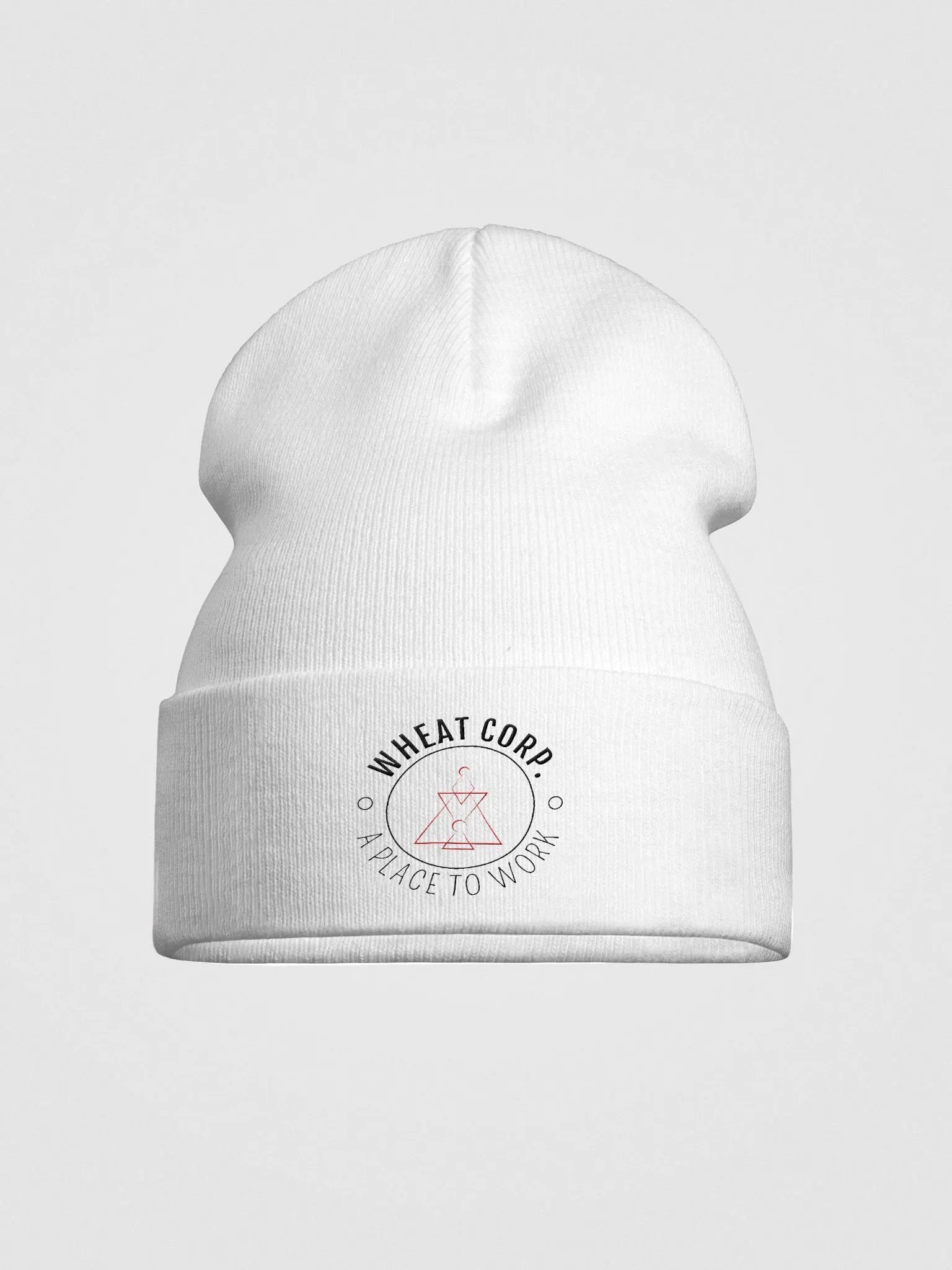 Generic Beanie product image (2)