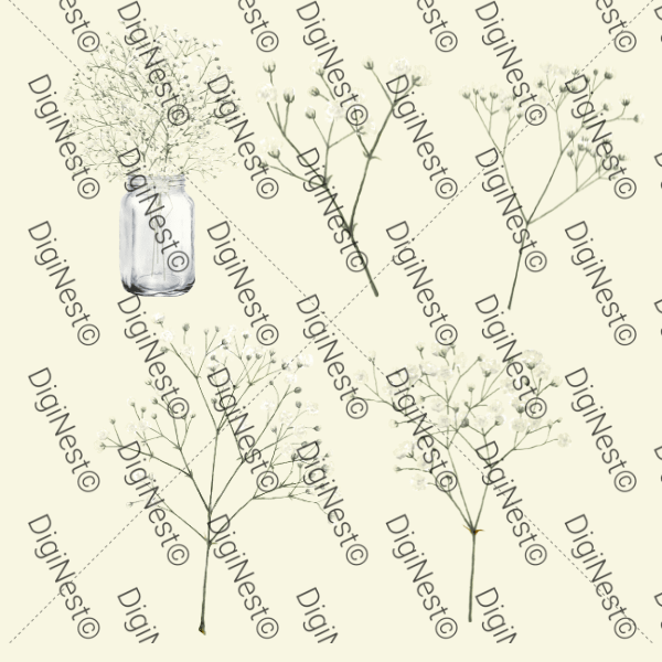 Delicate Baby's Breath Clipart Collection - Elegant Floral Graphics product image (2)