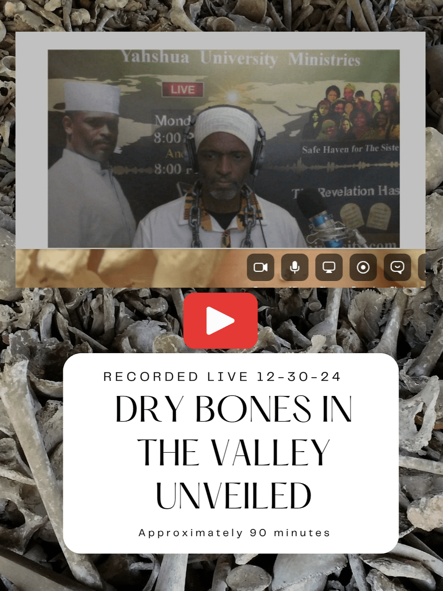 Live Video Class: Dry Bones Monday 12-30-24 product image (1)