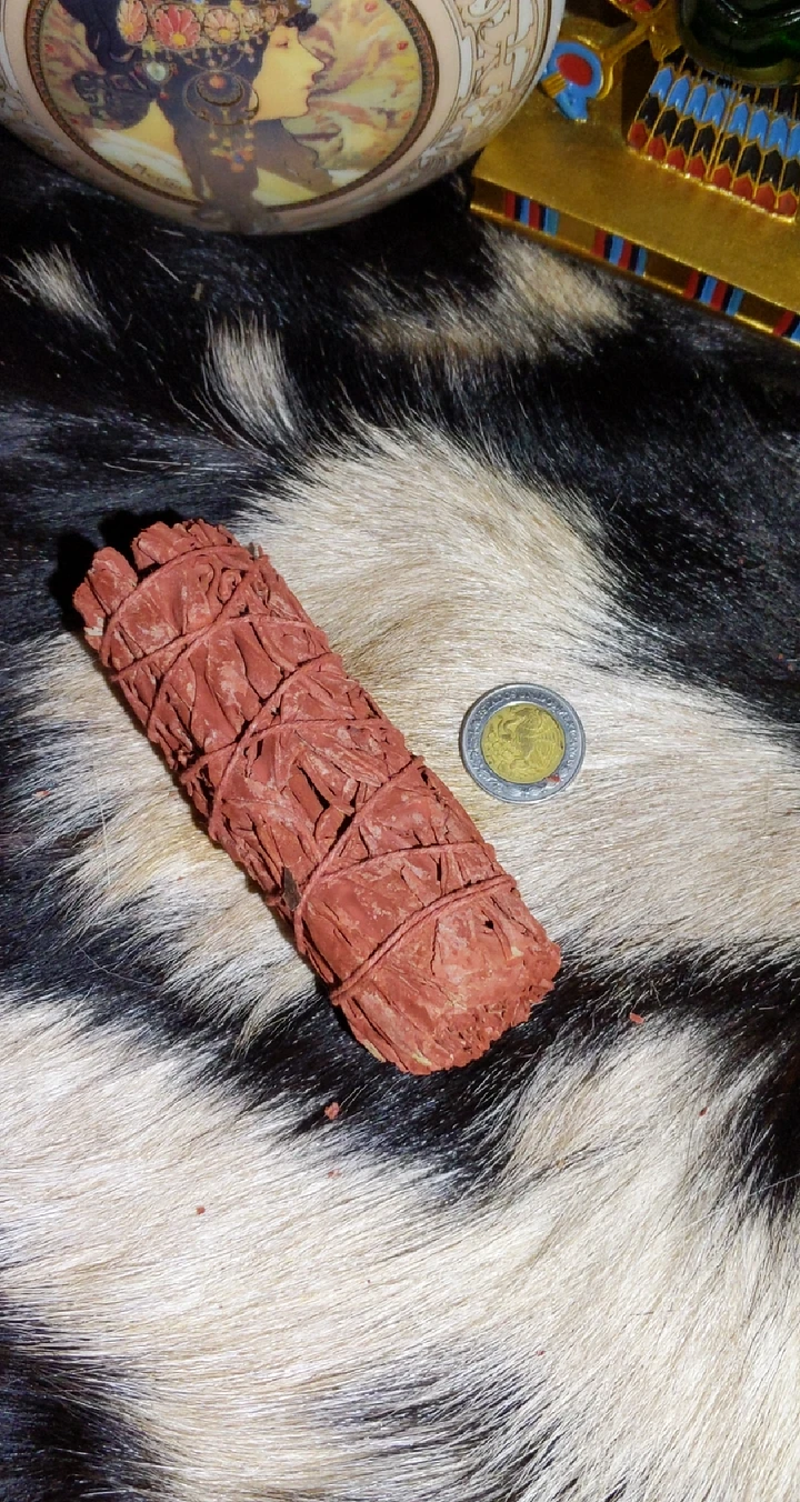 4 Inch Large Dragons Blood Sage Smudge Stick product image (2)