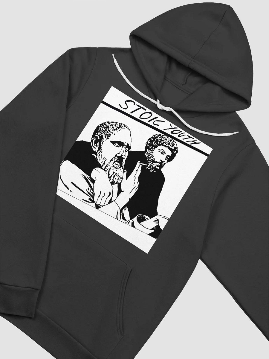 Stoic Youth Bella+Canvas Supersoft Hoodie product image (3)