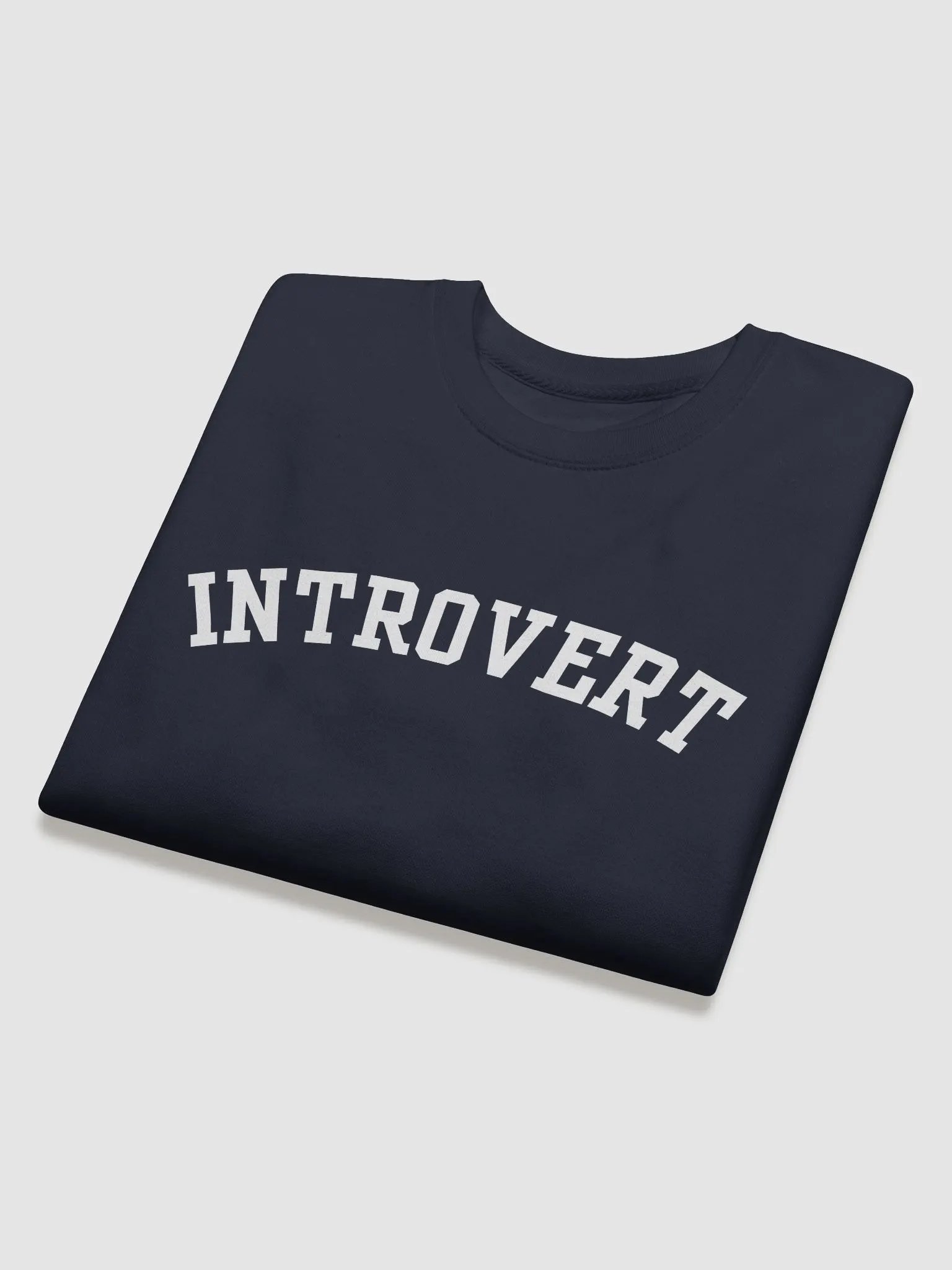 Introvert Premium Sweatshirt product image (3)