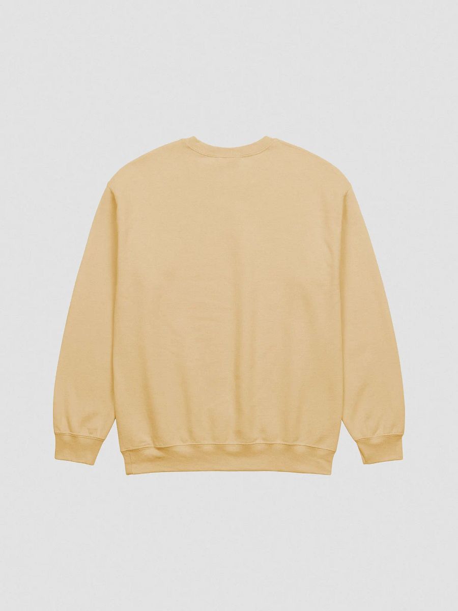 Bubbly and a B*tch (lg. brass design) embroidered crewneck product image (15)