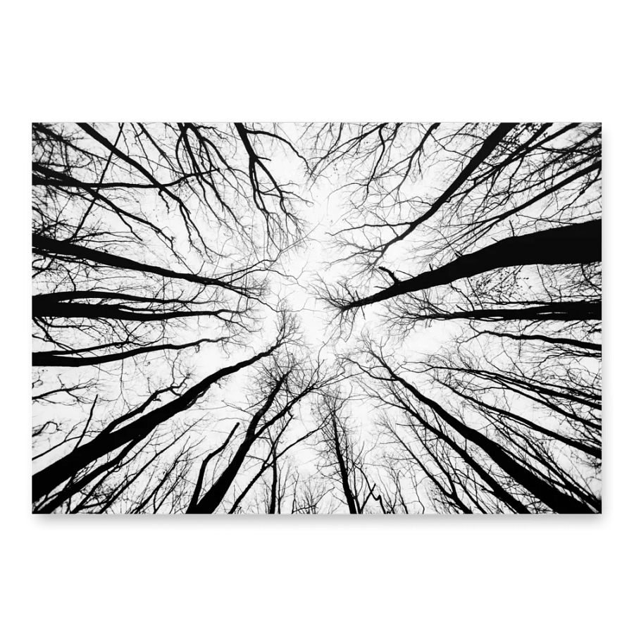 Surreal Black and White Wrapping Paper product image (3)
