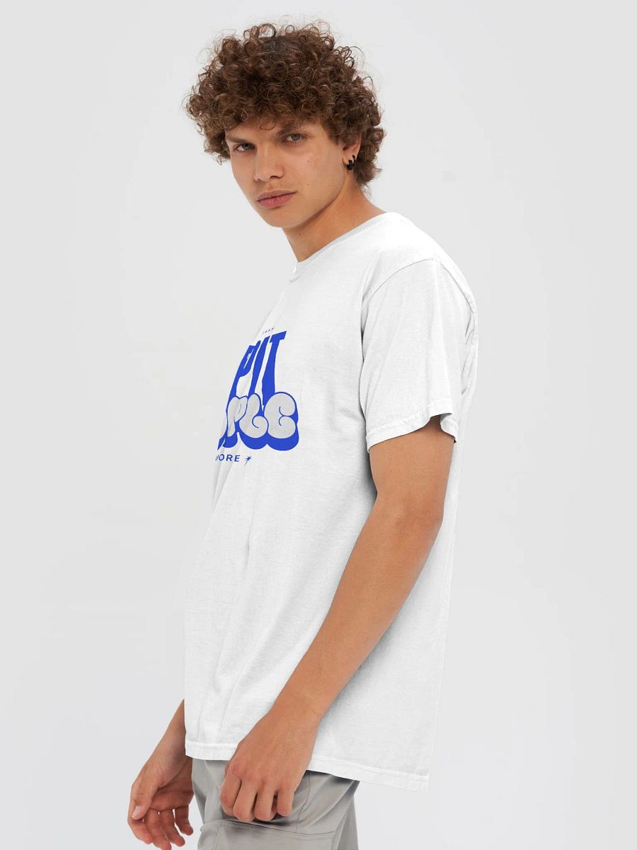 Comfort Colors Garment-Dyed Heavyweight T-Shirt product image (6)