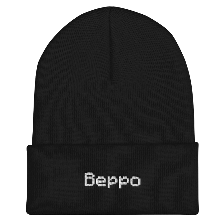 Beppo Embroidered Beanie - Black product image (1)