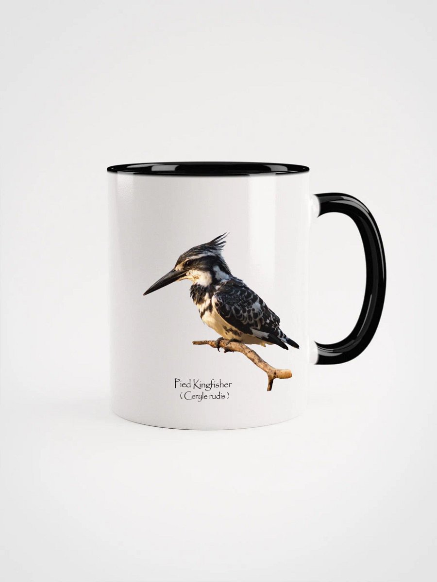 Pied Kingfisher mug product image (6)