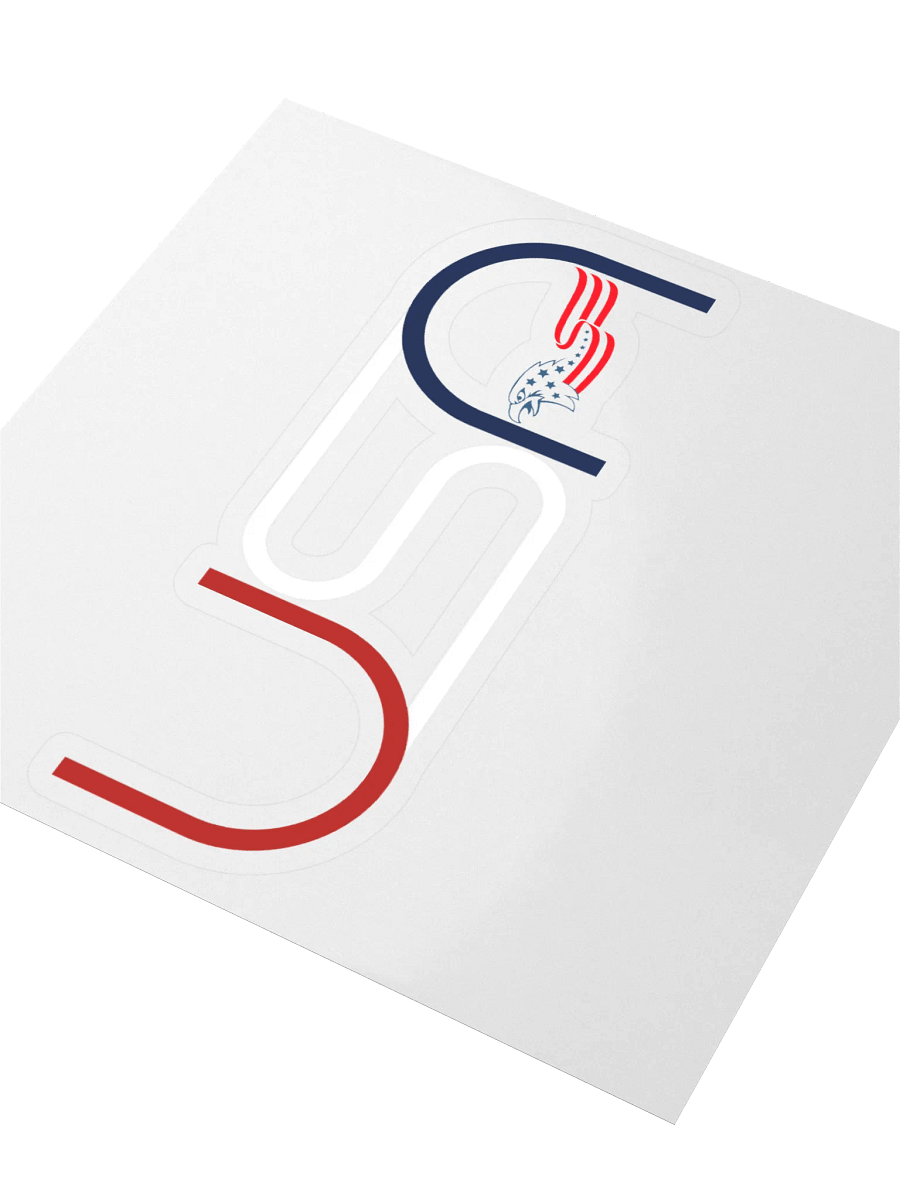 Patriotic Eagle Kiss Cut Sticker product image (3)