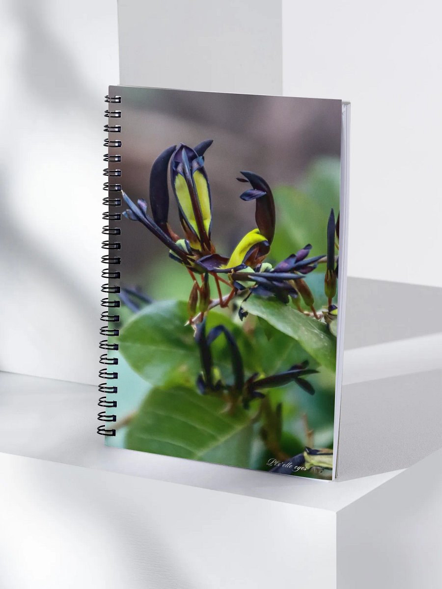 📘 Notebook Collection PURE – Jardin du Rayol – Kennedia nigricans product image (4)